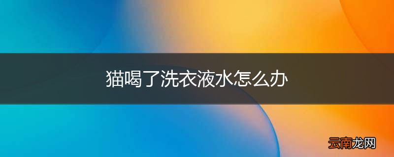 猫喝了洗衣液水怎么办