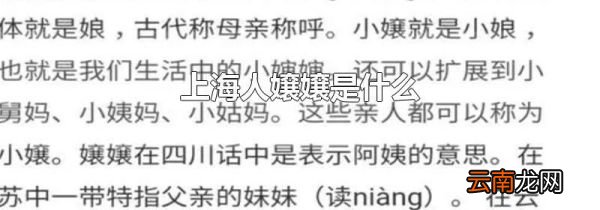上海人嬢嬢是什么