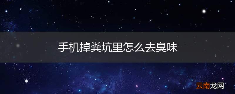 手机掉粪坑里怎么去臭味