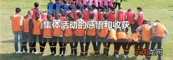 集体活动的感悟和收获
