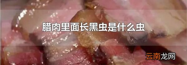腊肉里面长黑虫是什么虫