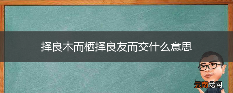 择良木而栖择良友而交什么意思