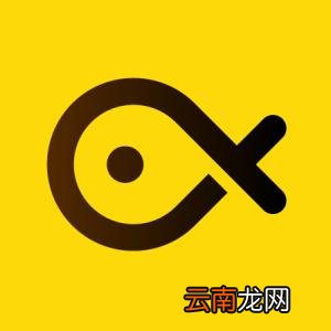 小黑鱼还款失败的处理操作