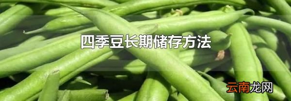 四季豆长期储存方法