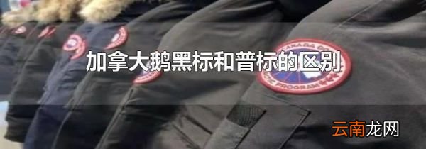 加拿大鹅黑标和普标的区别