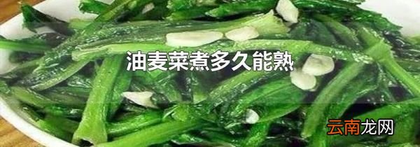 油麦菜煮多久能熟