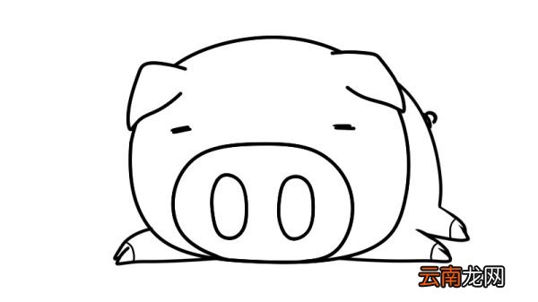 简笔画猪的画法