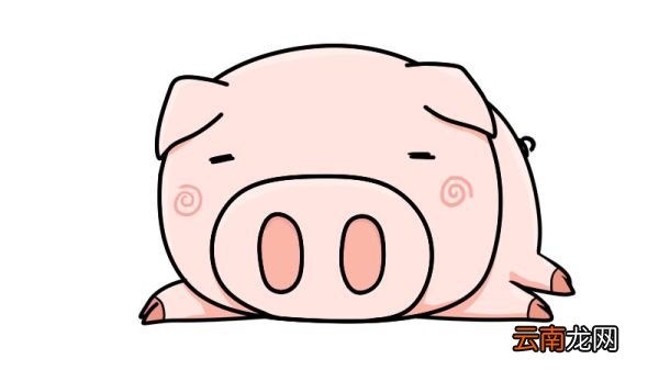 简笔画猪的画法