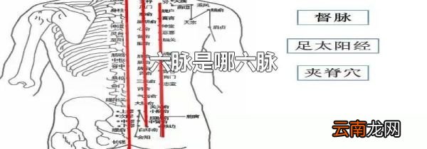 六脉是哪六脉