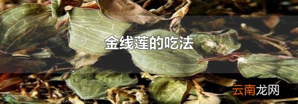 金线莲的吃法