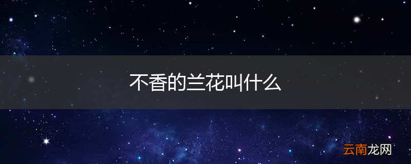 不香的兰花叫什么