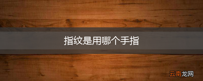 指纹是用哪个手指