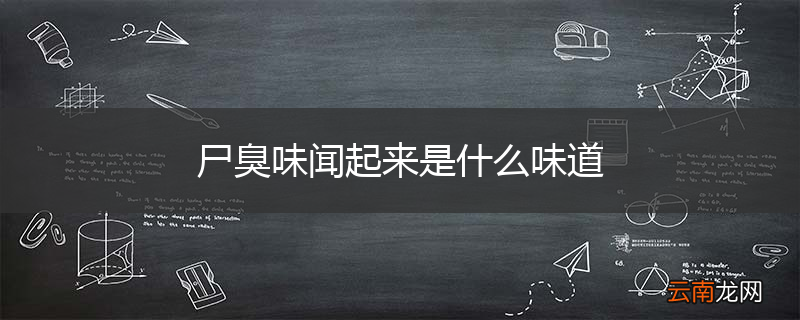 尸臭味闻起来是什么味道