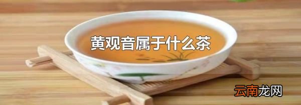 黄观音属于什么茶