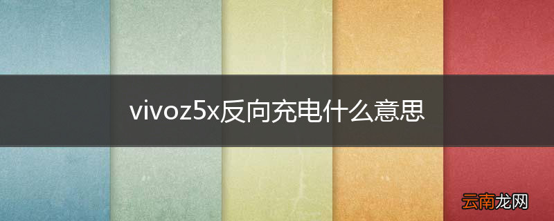 vivoz5x反向充电什么意思