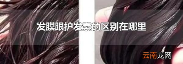发膜跟护发素的区别在哪里