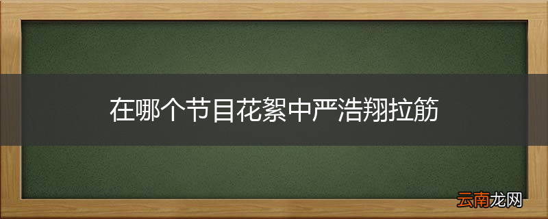 在哪个节目花絮中严浩翔拉筋