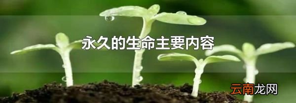永久的生命主要内容
