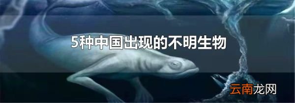 5种中国出现的不明生物