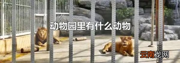 动物园里有什么动物
