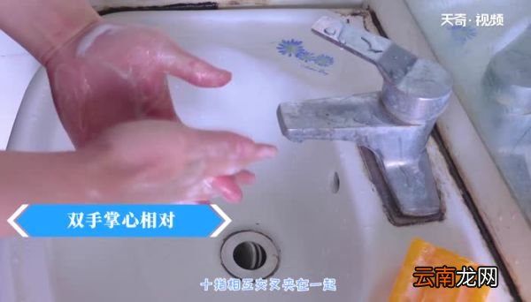 洗手的步骤 洗手的步骤是什么