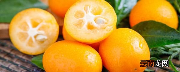 金桔怎么吃用不用剥皮 金桔要不要剥皮吃