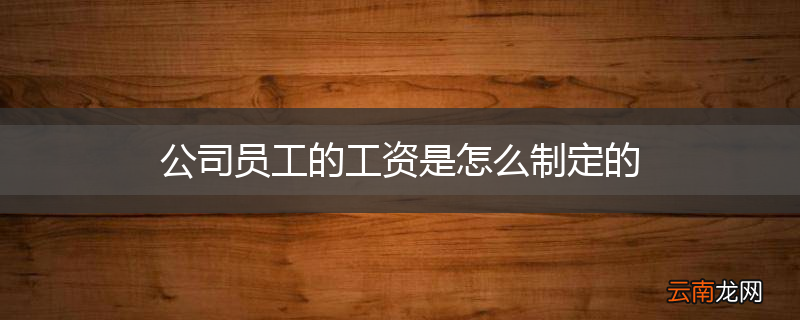 公司员工的工资是怎么制定的