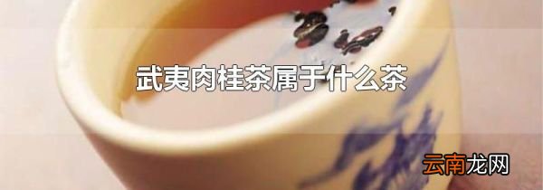武夷肉桂茶属于什么茶