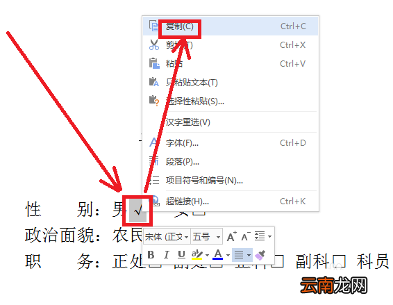 wps中方框内打勾详细操作流程