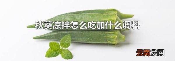 秋葵凉拌怎么吃加什么调料