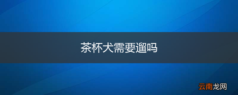 茶杯犬需要遛吗