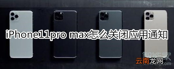 iPhone11pro max怎么关闭应用通知