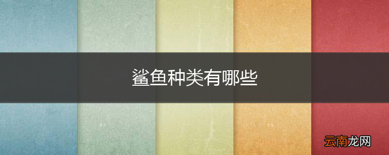 鲨鱼种类有哪些
