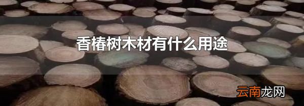 香椿树木材有什么用途