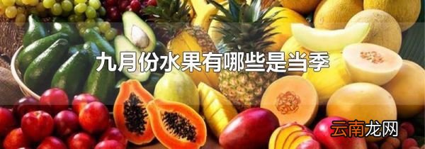 九月份水果有哪些是当季