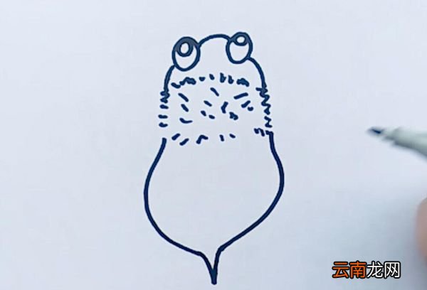 蜜蜂简笔画蜜蜂怎么画