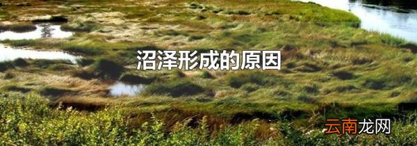 沼泽形成的原因