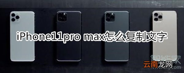 iPhone11pro max怎么复制文字