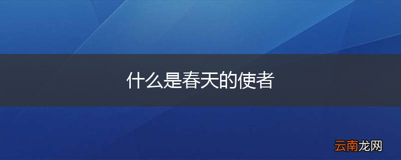 什么是春天的使者