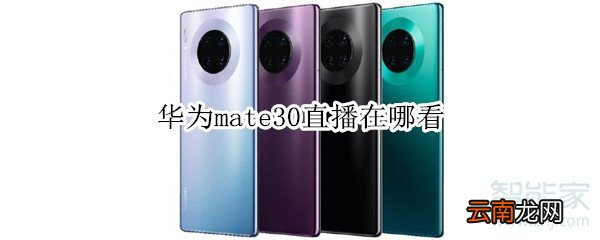 华为mate30直播在哪看
