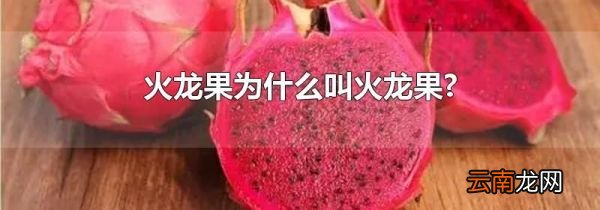 火龙果为什么叫火龙果?