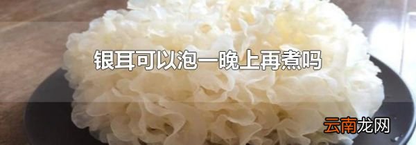 银耳可以泡一晚上再煮吗