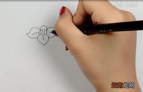 柿子简笔画