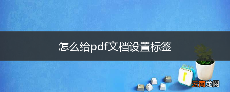 怎么给pdf文档设置标签
