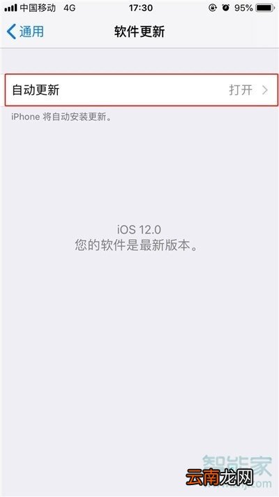 iPhone11pro max怎么关闭系统自动更新