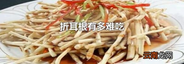 折耳根有多难吃