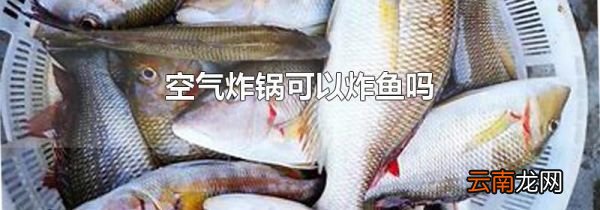 空气炸锅可以炸鱼吗