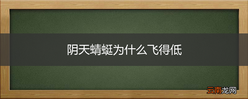 阴天蜻蜓为什么飞得低