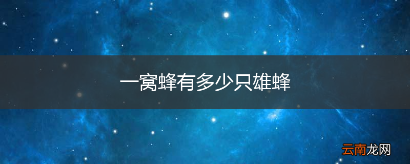 一窝蜂有多少只雄蜂
