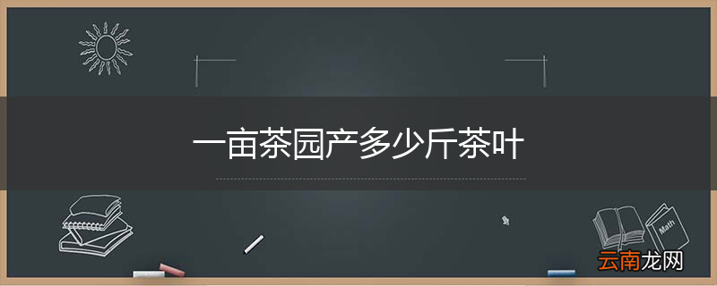 一亩茶园产多少斤茶叶
